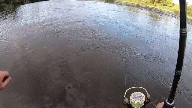 Ловля голавля. Рыбалка на красивой реке смотреть онлайн