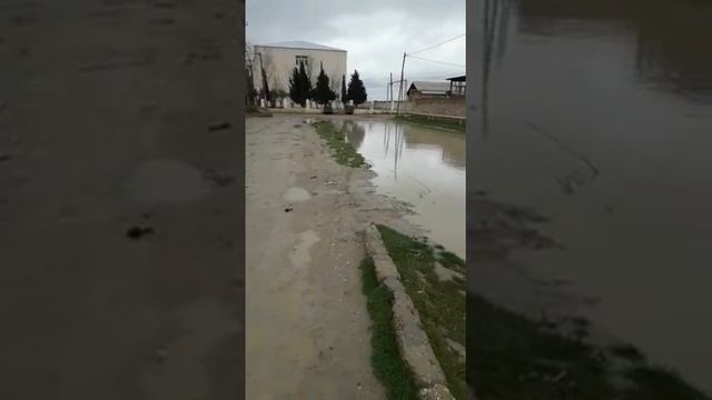 Baki seheri suraxani rayonu Dede qorqud qesebesinin 315 nomreli mektebinin yolu..? смотреть онлайн