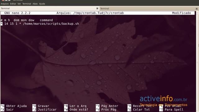 curso linux 08 agendamento tarefas смотреть онлайн