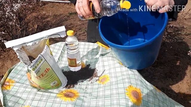 Как получить доступный кальций (известковая подкормка) для косточковых деревьев. смотреть онлайн