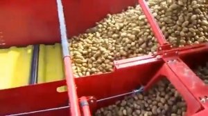 Картофелеуборочный комбайн Grimme SE 75-30