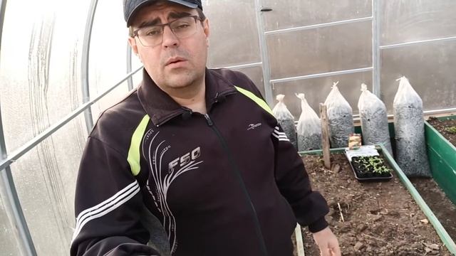 Супер способ выращивания грибов вешенки с весны до осени #vsvogorod смотреть онлайн