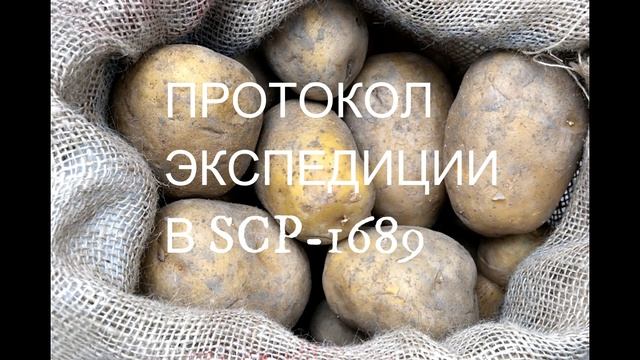 SCP-1689 Бесконечный мешок картошки + Протокол экспедиции в SCP-1689. смотреть онлайн