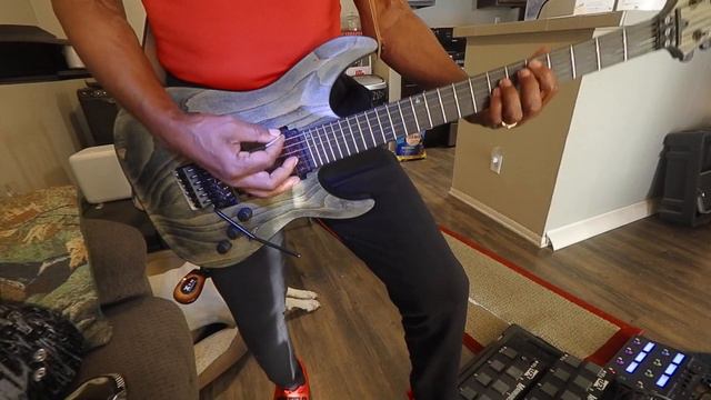 My Schecter Apocalypse Passive C1 F/R смотреть онлайн