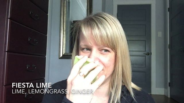 Double Day Summer Scentsy Haul смотреть онлайн