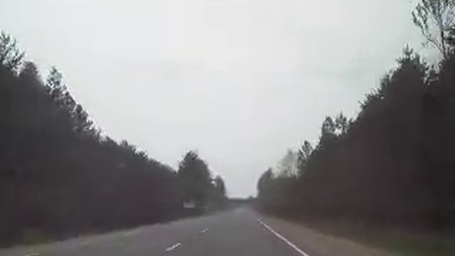 Дорога в Беловежскую пущу смотреть онлайн