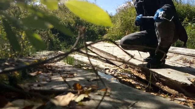 Подался в леса, намочил камеру, хвастаюсь ночными фотками. Дача (день 2) #влог смотреть онлайн