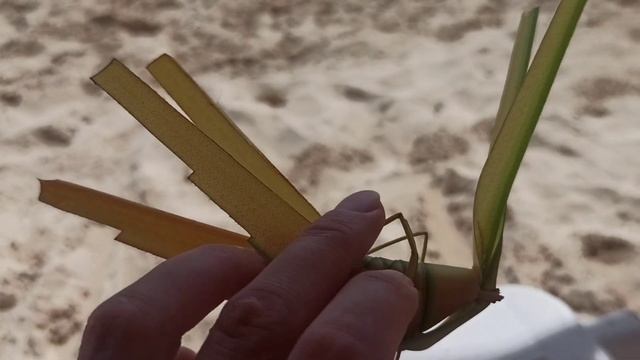 3 ч. Из Алтайского края в США через Мексику смотреть онлайн