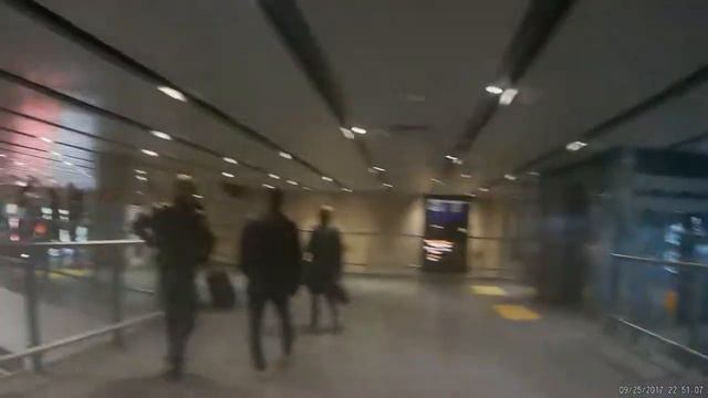 Приезд в Санкт-Петербург(№6) смотреть онлайн