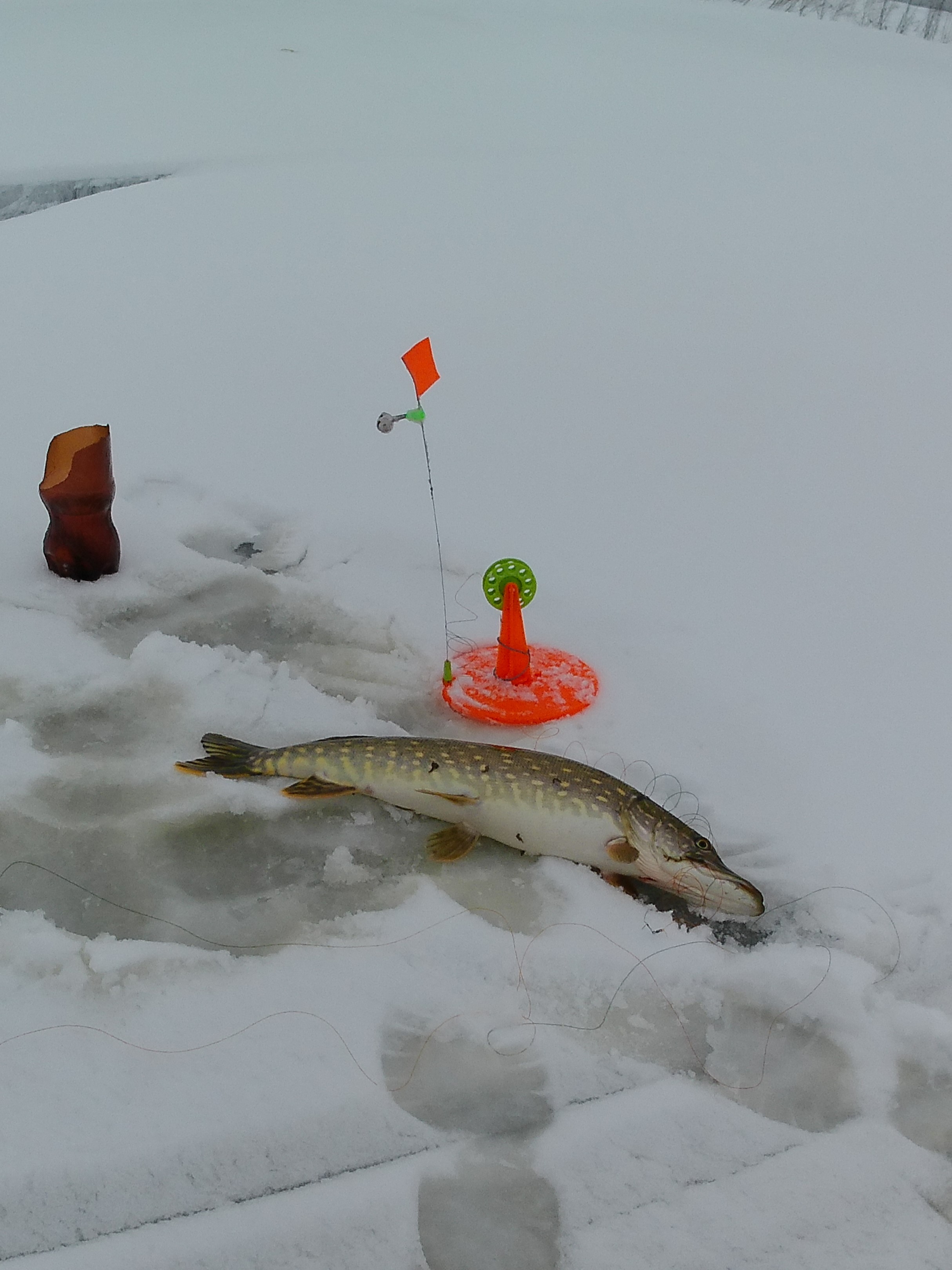 На речке в глухозимье!