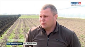 В КФХ семьи Годовниковых выращивают картофель