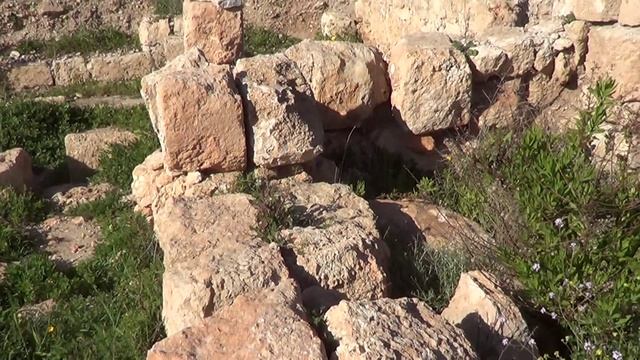 Хайфа и её древние мозаики на берегу моря смотреть онлайн
