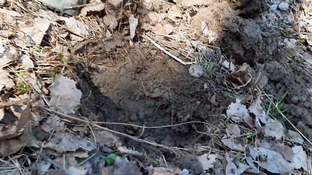 Коп по старине 2021. Нашли перстень 84 пробы смотреть онлайн