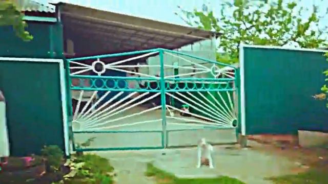 Сирень,цветы и Кузя смотреть онлайн