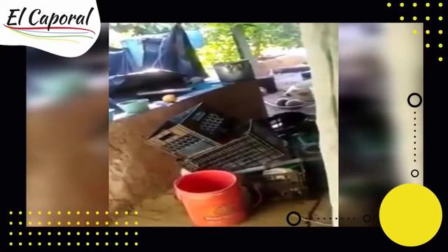 🔥 Cacharon A Policías GOLPEANDO A Mujer Indefensa En Cárdenas, Tabasco 👉 Acusan Abuso Policiaco смотреть онлайн