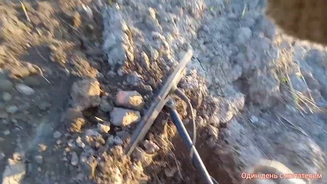 Первый выход по распашке с Minelab vanquish 540 поднял редкое прясло !!! смотреть онлайн