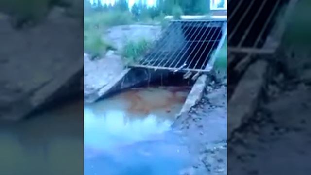 Тверь. Загрязнение реки Тверца смотреть онлайн