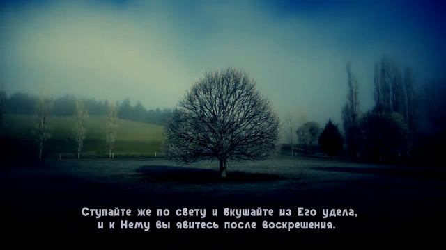 Красивое чтение Корана. Mishari Albaghli. Сура "аль-Мульк". HD смотреть онлайн