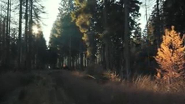 5 Hours Of Calm Relaxing Meditation Music for Yoga Spa Candel Binaural Sleeping or Studying смотреть онлайн