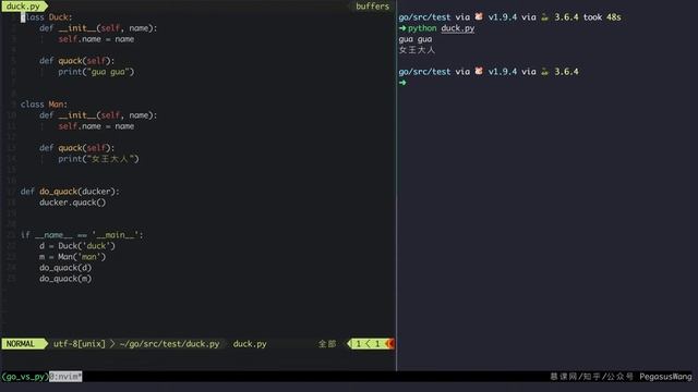 python vs go duck type смотреть онлайн