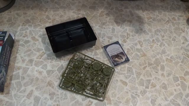 Анбокс наборов Warhammer Age of Sigmar, выпуск 32: Хранители Ильтари смотреть онлайн