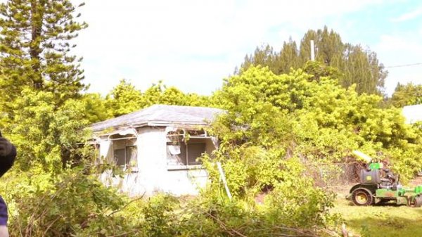 INSANELY OVERGROWN FREE yard makeover…WAIT TILL YOU SEE IT!! [Building A House]