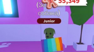 Зелёная собака попыта забирака любит дольче милк