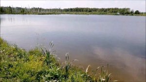 Рыбалка Танай  квадрат мр 4