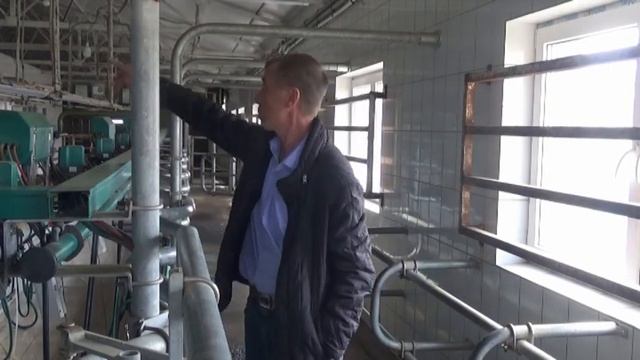 Доильный зал, система доильного аппарата типа "елочка". Молочная ферма Виктора Санникова смотреть онлайн