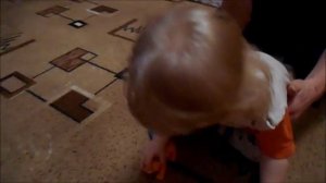 журнал №6 животные дикой природы (DeAgOsTiNi)