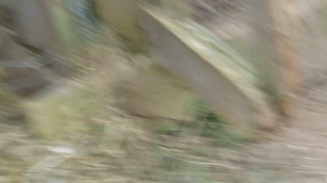 ЧТО ЩЕНКАМ НУЖНО ПОЕЛИ И СПАТЬ.