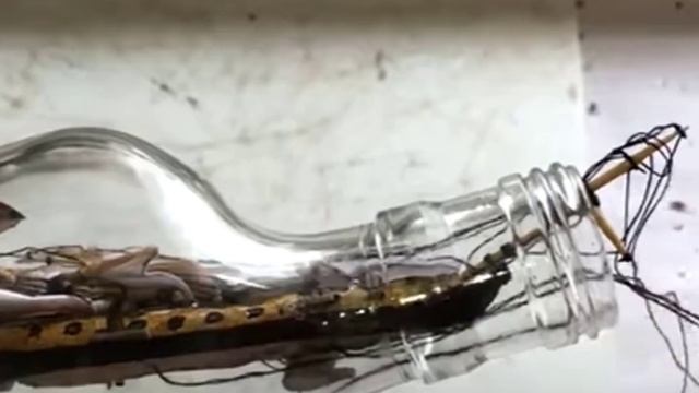 Как помещают миниатюрные корабли в бутылки? смотреть онлайн