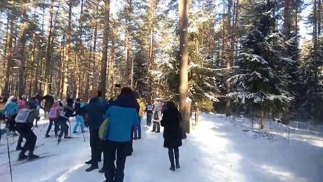 Лыжня России 2020 Гусь-Хрустальный смотреть онлайн