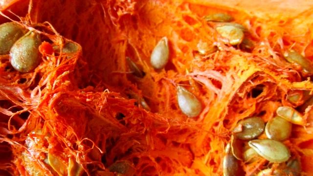 Вот что будет, если есть семена тыквы каждый день. Тыквенные семечки польза и вред смотреть онлайн