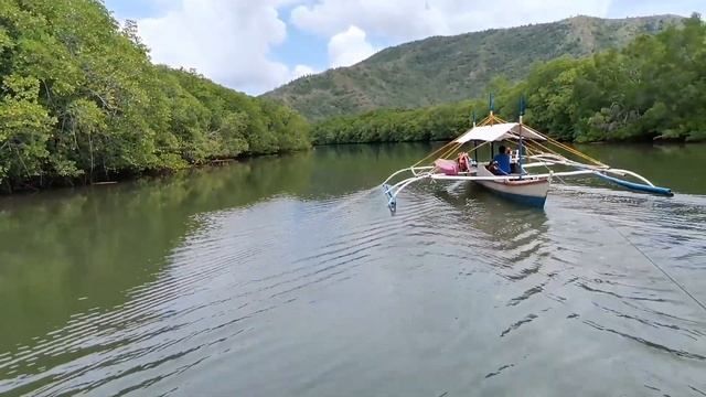 RIVER CRUISE,BALSA,SWIM and KAYAK 4 in 1 at SAN CARLOS BACUNGAN PALAWAN смотреть онлайн