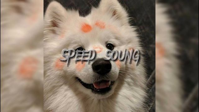 Вайб песни 2023г. 🎧 смотреть онлайн