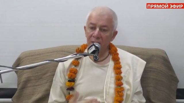 Прямая трансляция пользователя Александр Хакимов. Прямые трансляции смотреть онлайн