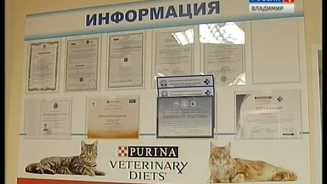 Ветеринарный центр «Ольга» смотреть онлайн