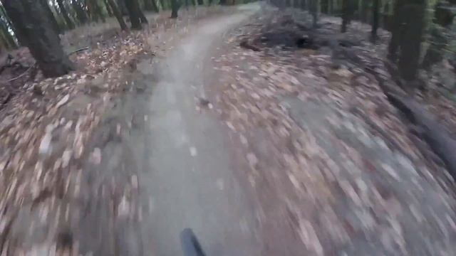 Ashland Oregon Lizard Trail смотреть онлайн
