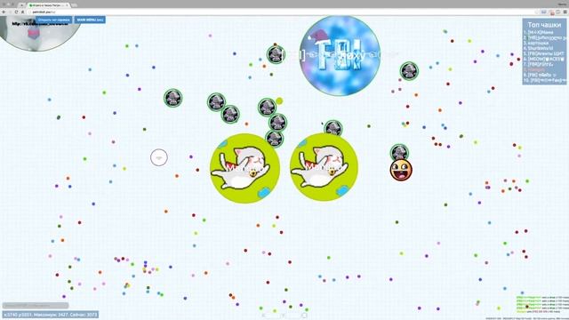 PetriDish.pw | Чашка Петри | Petri Dish | Анимированные скины в Чашке Петри смотреть онлайн