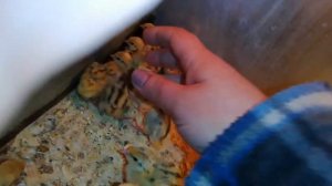 асд2 фракция как она работает