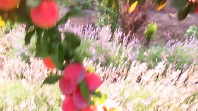 Секреты Творческой Вдохновенности