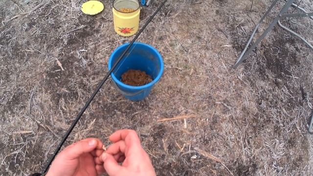 Отчёт о рыбалке на тёплом канале. смотреть онлайн