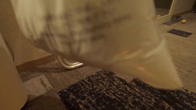 Tokyo's Standard Business Hotel With A Tokyo Tower🗼 View - Sotetsu Fresa Inn  2022 Solo Travel Vlog