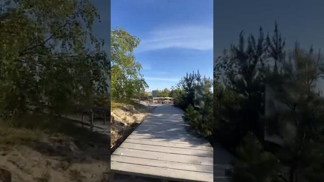 Куршская коса 😍 смотреть онлайн