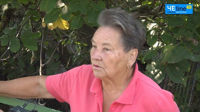 Чернигов: Ягодки в песке: садовники самостоятельно перекрыли дорогу смотреть онлайн