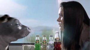 Реклама Напитки из Черноголовки 2013 нерпа