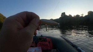 ЖЕРЕХ НА ВОЛКЕР / Супер рыбалка \ #жерех #самодельныеприманки #волкер