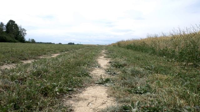 Panasonic Lumix G7 UHD Video Test смотреть онлайн