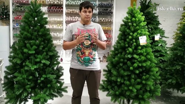 Особенности елей типа "Премиум" | isk-elki.ru смотреть онлайн